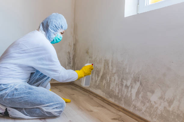 Licensed Mold Testing service in Richland, PA - WQB Mold Removal