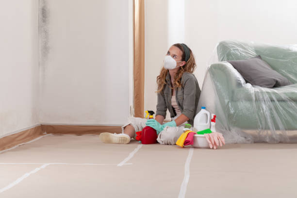 Reliable Mold Testing contractor in Richland, PA by WQB Mold Removal
